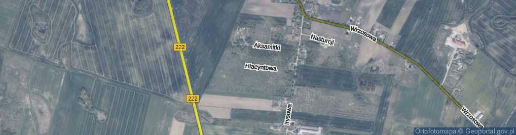 Zdjęcie satelitarne Hiacyntowa ul.